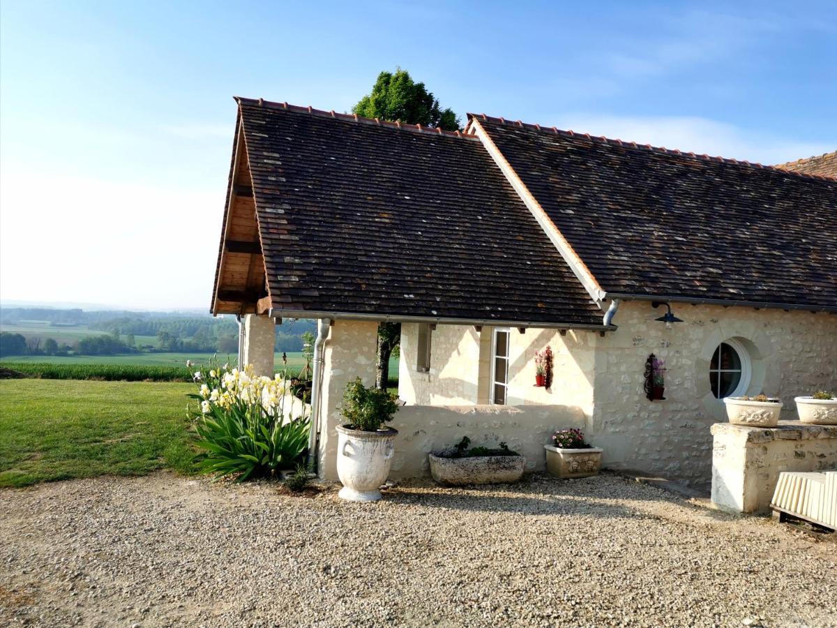 Gite De Charme Dans Un Cadre Calme Et Reposant Châtellerault Buitenkant foto
