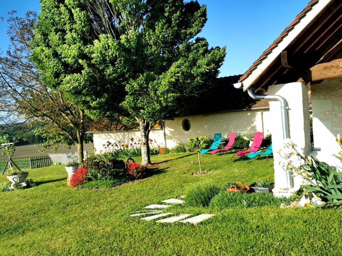 Gite De Charme Dans Un Cadre Calme Et Reposant Châtellerault Buitenkant foto